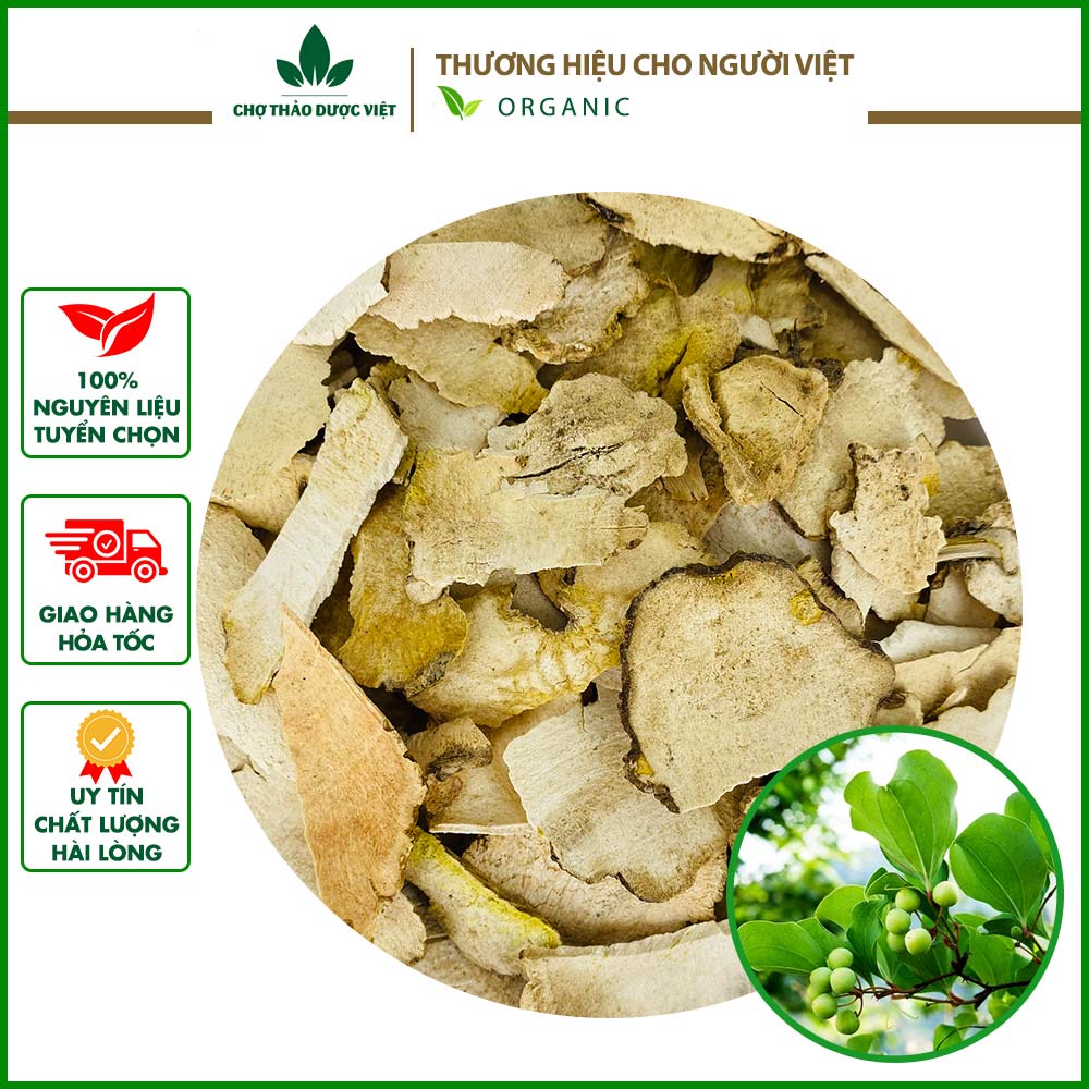 500g tỳ giải