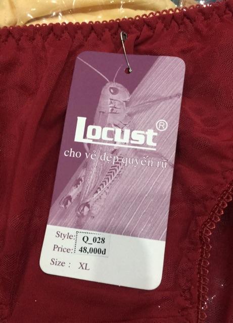 Combo 5 Quần Lót Nữ Bông Ép Locust 028 | Quần Lót Bông Thoáng Khí Co Giãn | Size M – 4XL