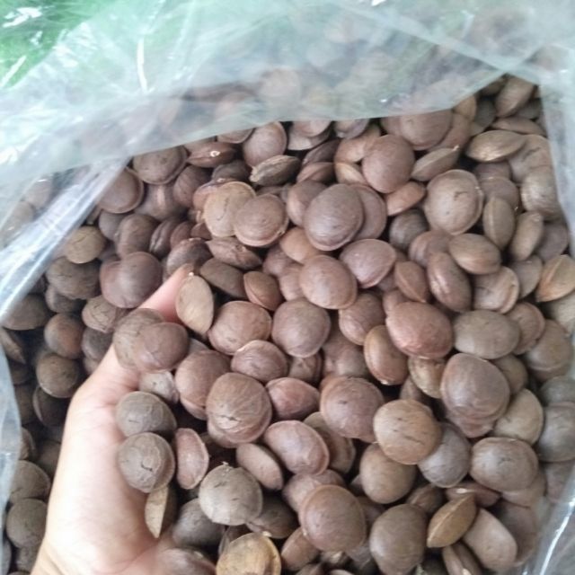 Hạt Sachi rang chín ăn liền 500Gr
