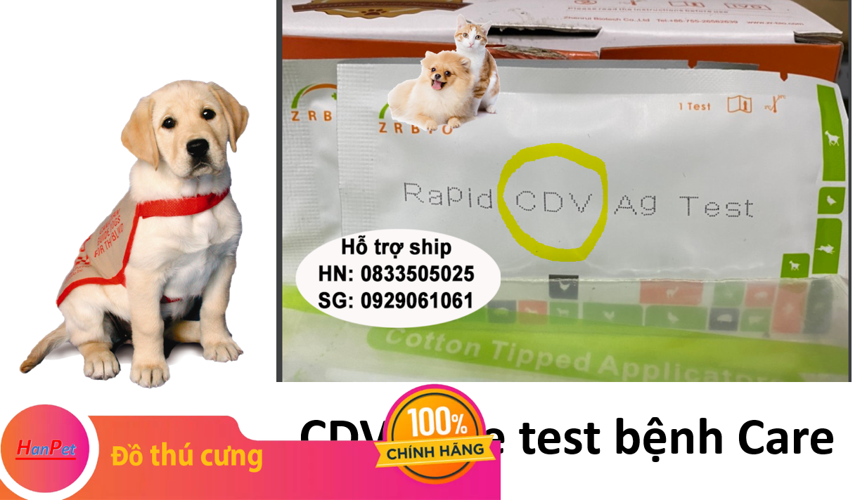 Hanpet - 1 Que test bệnh Care và Parvo trên chó FPV giảm bạch cầu mèo