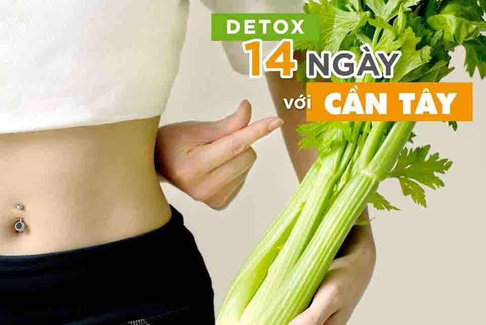 Bột Cần Tây sấy lạnh nguyên chất (Giảm cân, thải độc, tốt cho sức khỏe)