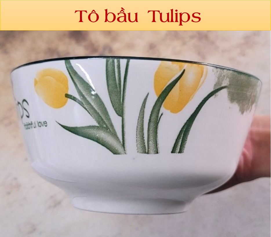 TÔ BẦU GỐM SỨ 4D HỌA TIẾT TULIPS - ĐỦ SIZE ( 6 ,7, 8)
