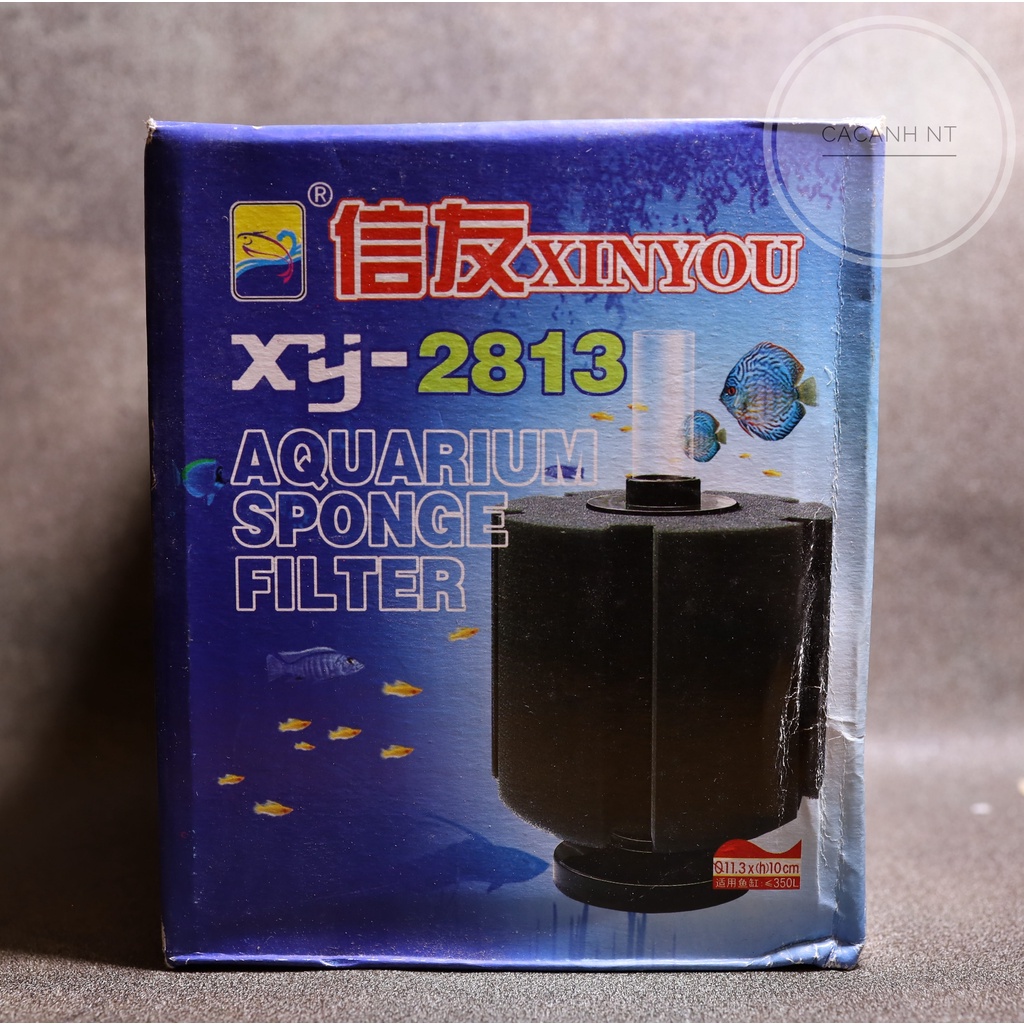 lọc vi sinh Xin You ( mút mịn ) , lọc bể cá