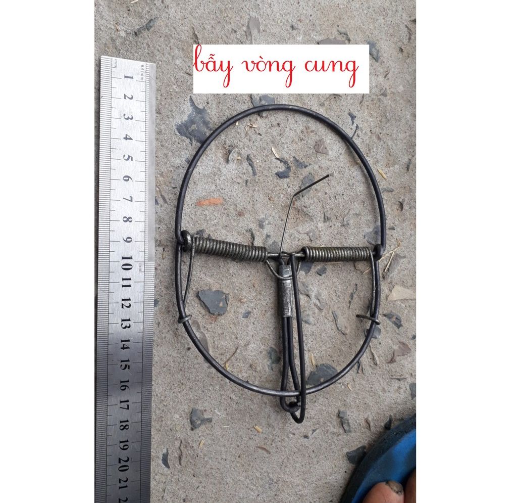 Bẫy đập chuột răng cưa rất nhạy siêu khỏe, bẫy vòng cung [ shop tự chụp