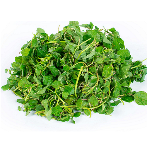 - Gói 10gr hạt giống rau dền cơm