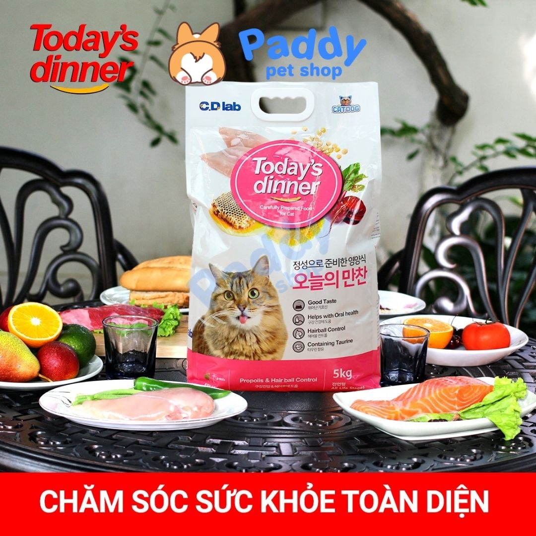 Hạt Today's Dinner Cho Mèo Mọi Lứa Tuổi