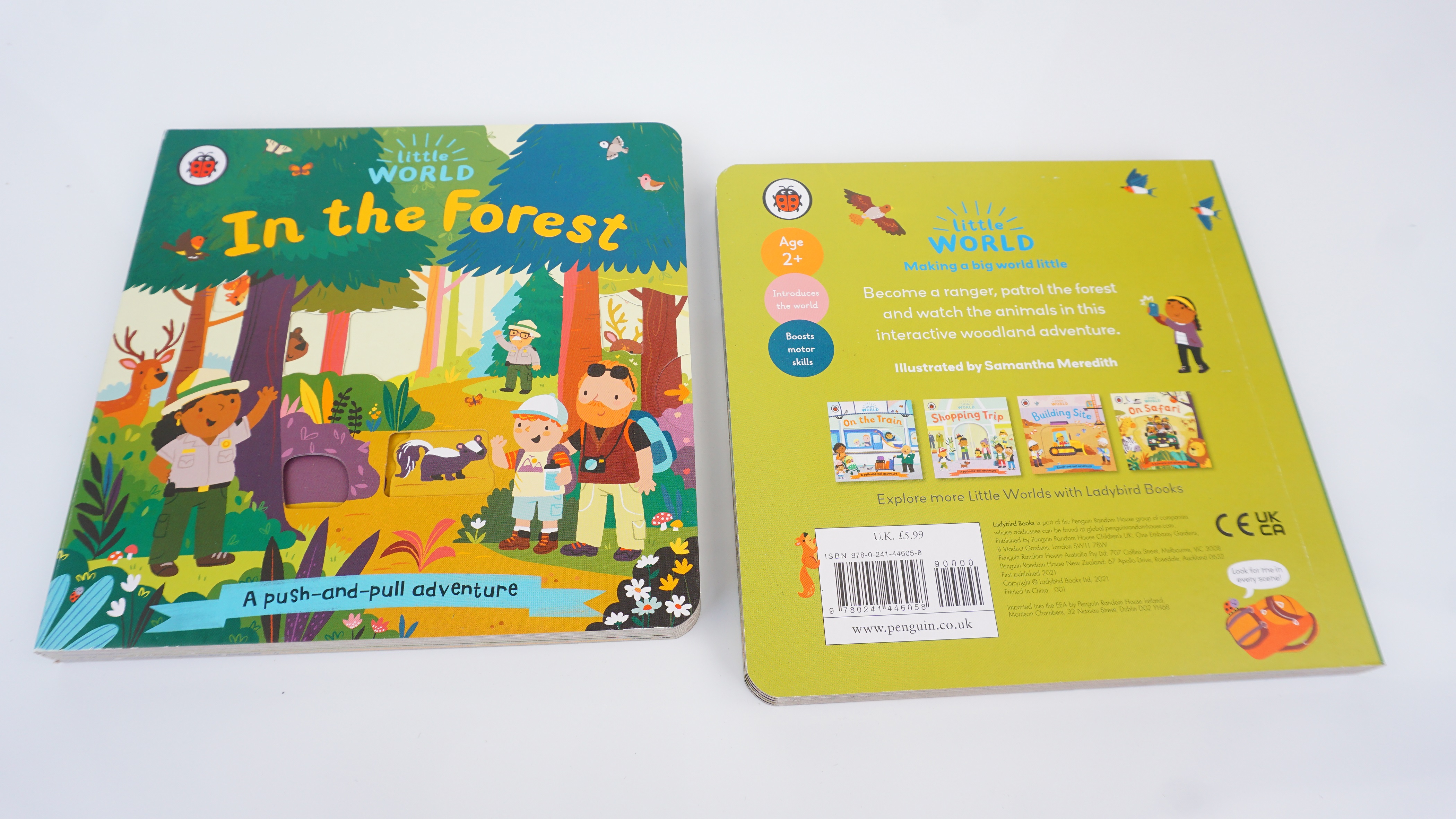 Little World: In the Forest : A push-and-pull adventure