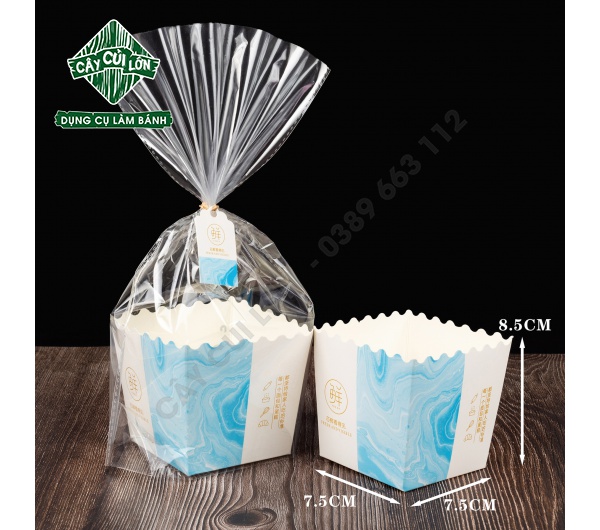 SET 10 TÚI KIẾNG GIẤY CAO