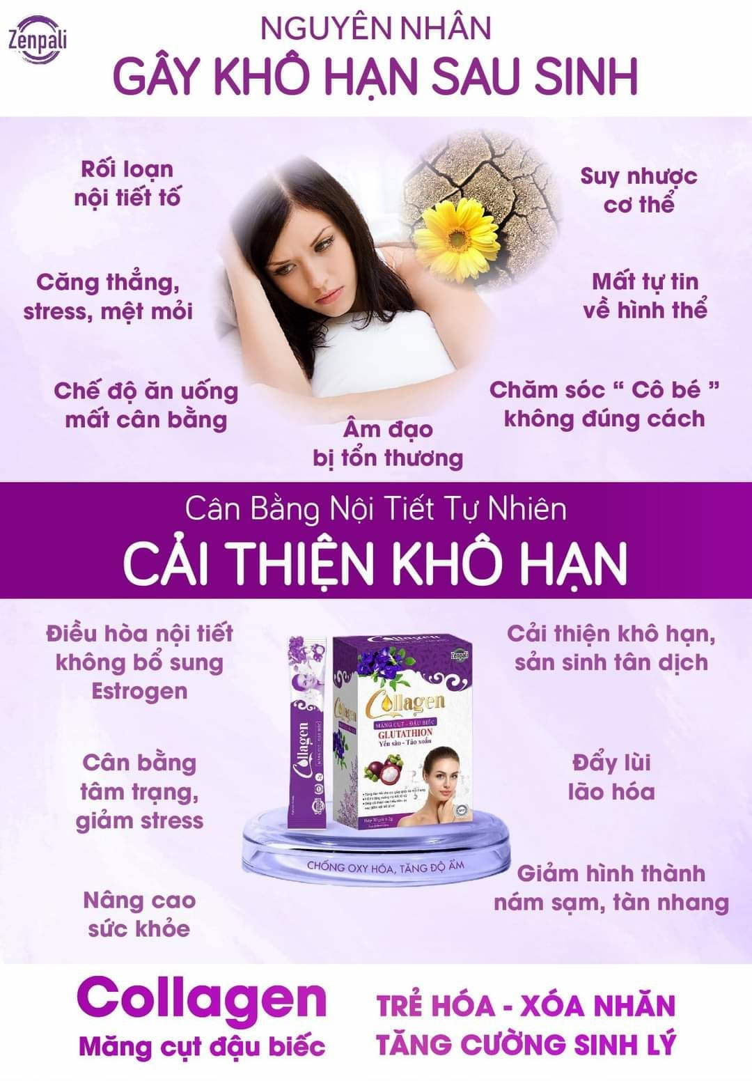 COLLAGEN ĐẬU BIẾT MĂNG CỤT