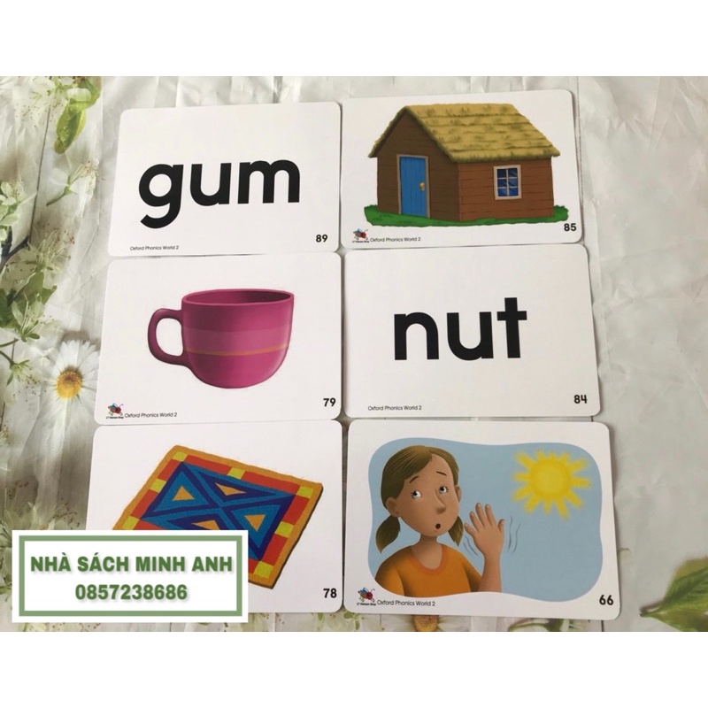 Flashcard OXFORD PHONICS WORLD 2 - 93 thẻ