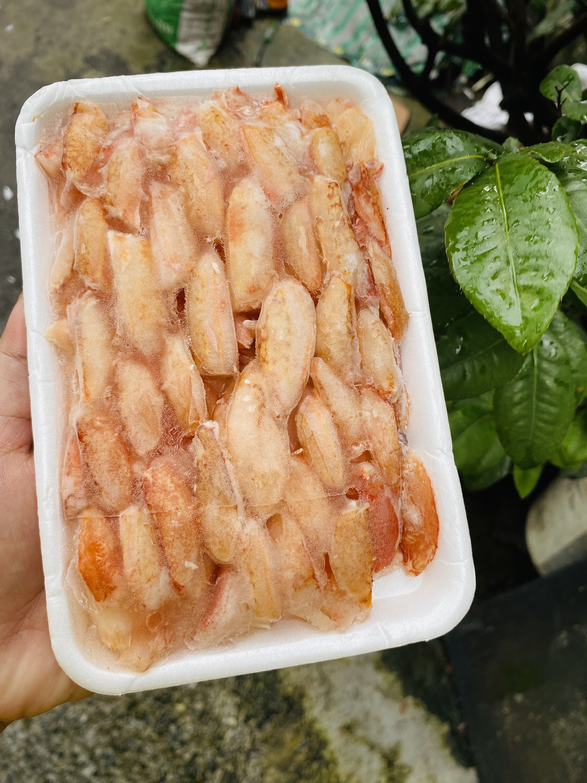 [GIAO NHANH 2H HCM] Giá Sỉ Thịt Càng Ghẹ A
