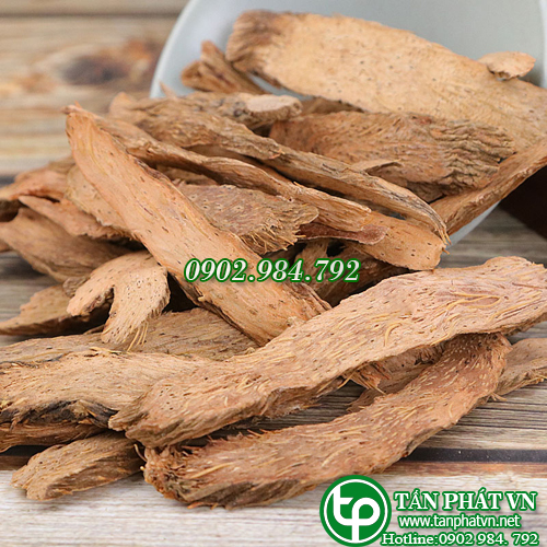 Thiên niên kiện 100g - tấn phát