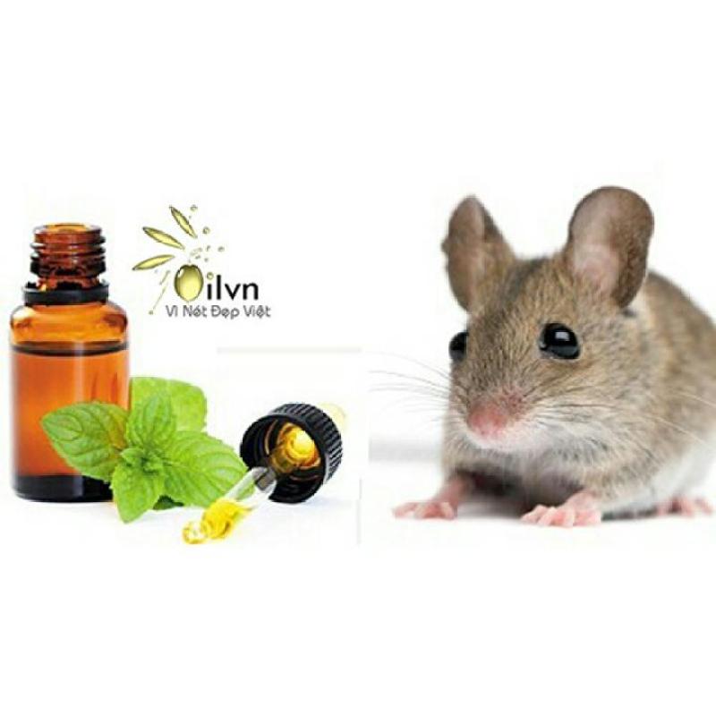 Tinh dầu chống chuột dành cho khoang máy ô tô thương hiệu Tâm An