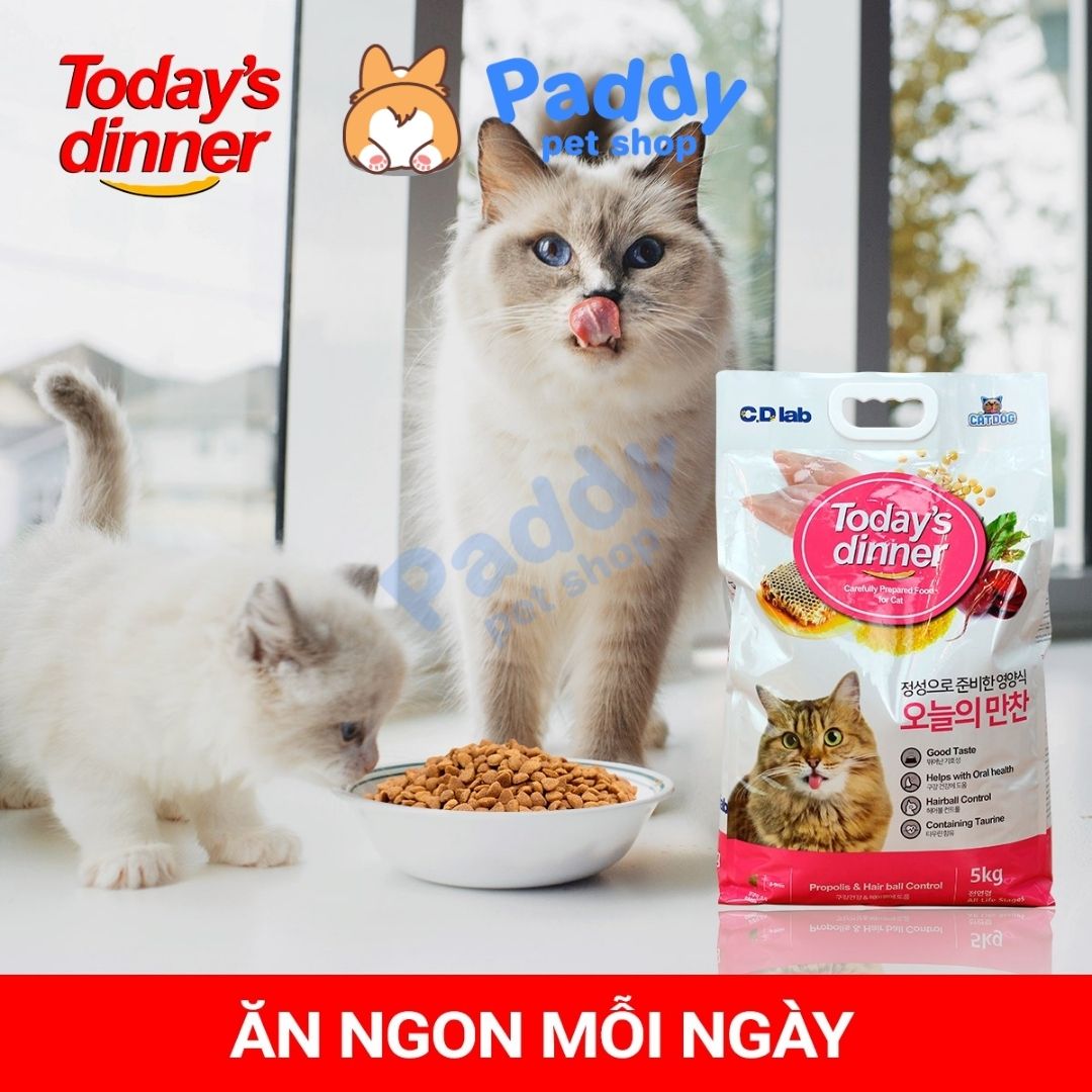 Hạt Today's Dinner Cho Mèo Mọi Lứa Tuổi