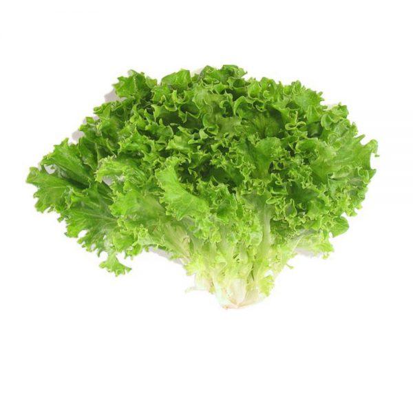 [Mới] - Hạt giống rau xà lách chịu nhiệt