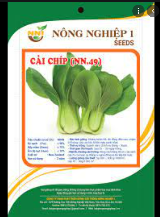 Hạt giống rau Cải Chíp