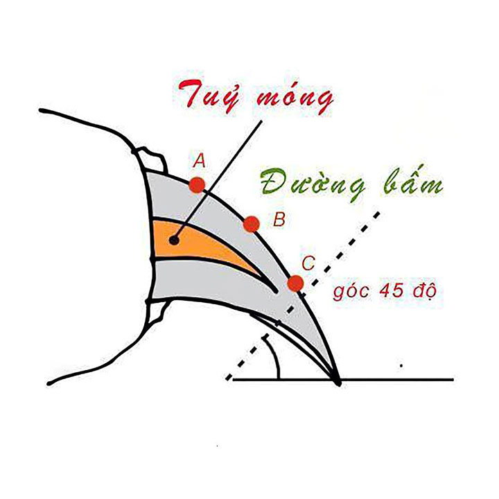 Kéo cắt móng cho chó mèo nhỏ - CutePets