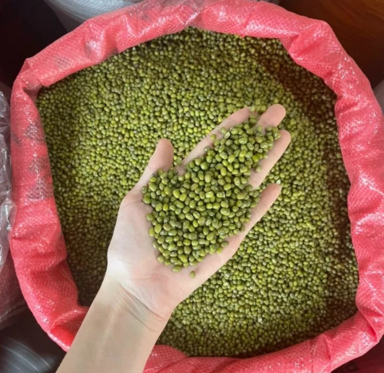 TINPHATFOOD 2kg Đậu xanh cà sạch vỏ Đỗ Xanh Mộc hàng chuẩn đẹp Nấu xôi ...