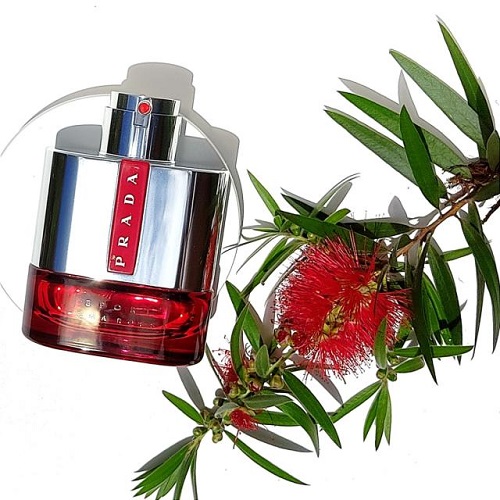 Loan’s Parfum - Nước Hoa Pra.da Sport Luna Rossa