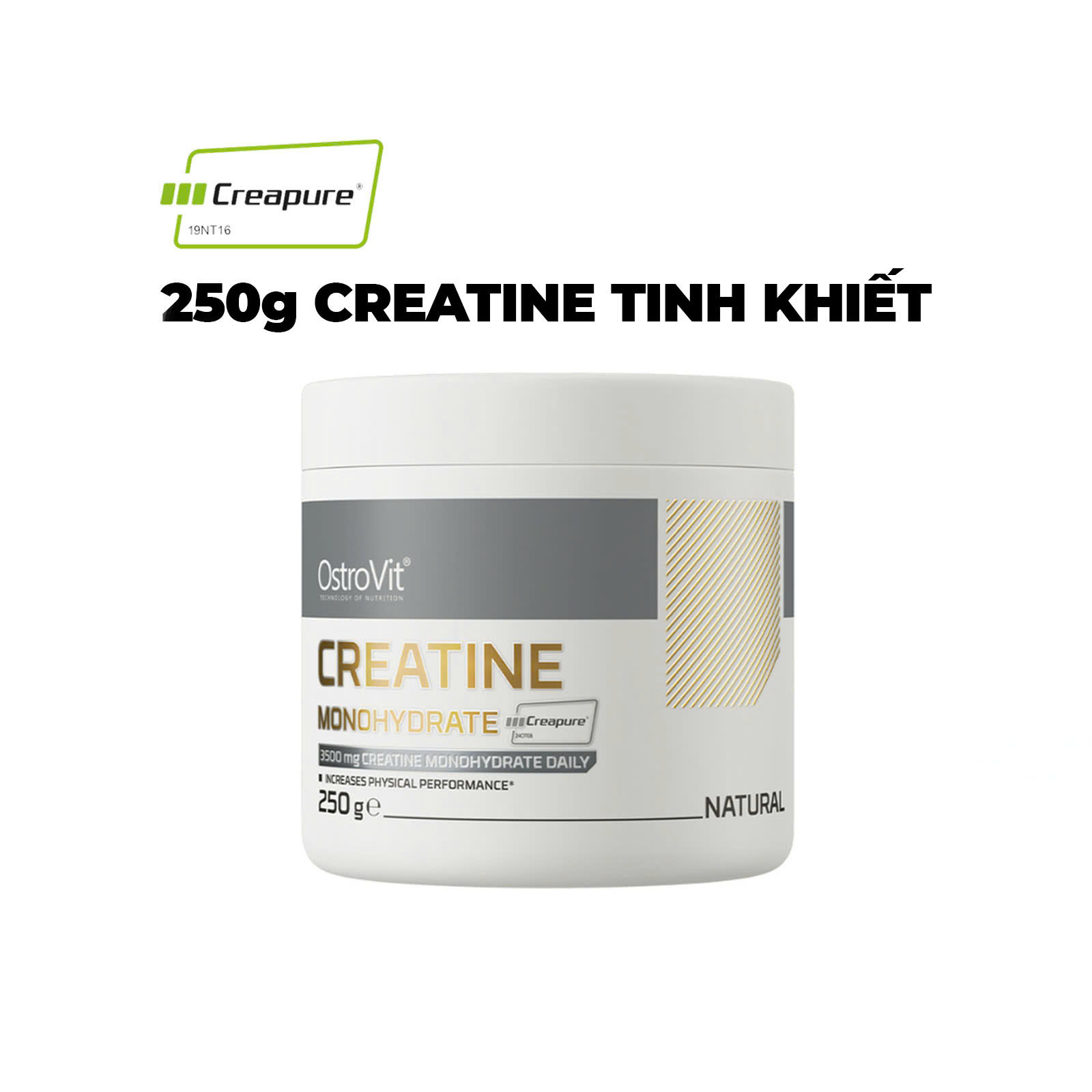 JNX The Curse Creatine Micronized (300g 500g) Bí quyết tăng sức mạnh vượt trội