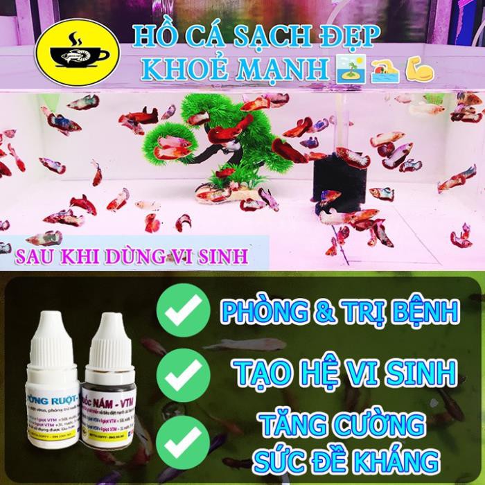 Vi Sinh Tiêu Hóa BAC+ - Giúp Cá Khỏe Nước Trong