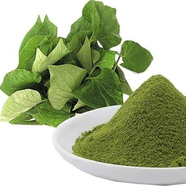 Bột Diếp Cá Nguyên Chất 100g
