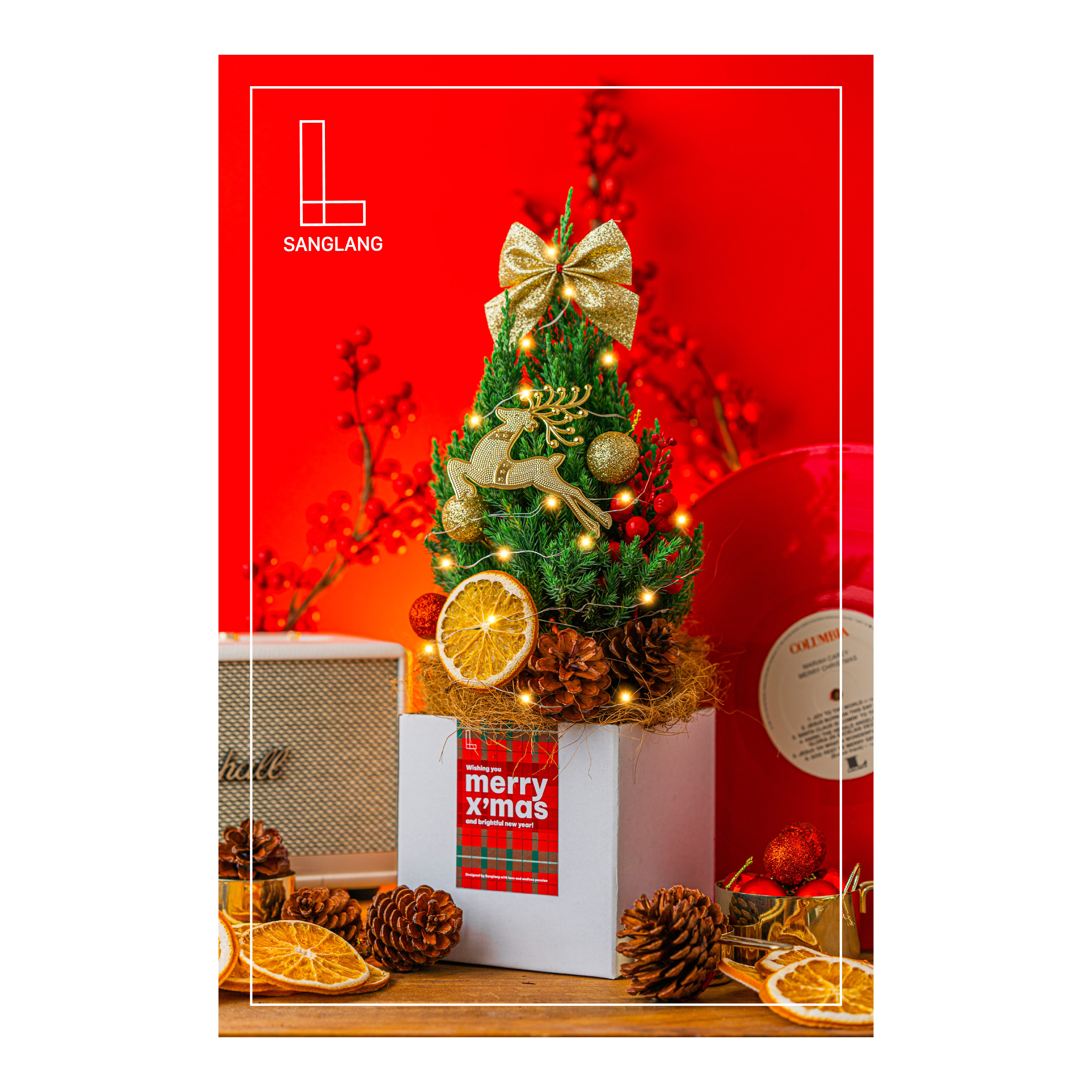 [Chỉ giao HCM-Hỏa Tốc]-Cây Tùng Sơn Trang Trí Noel Sanglang