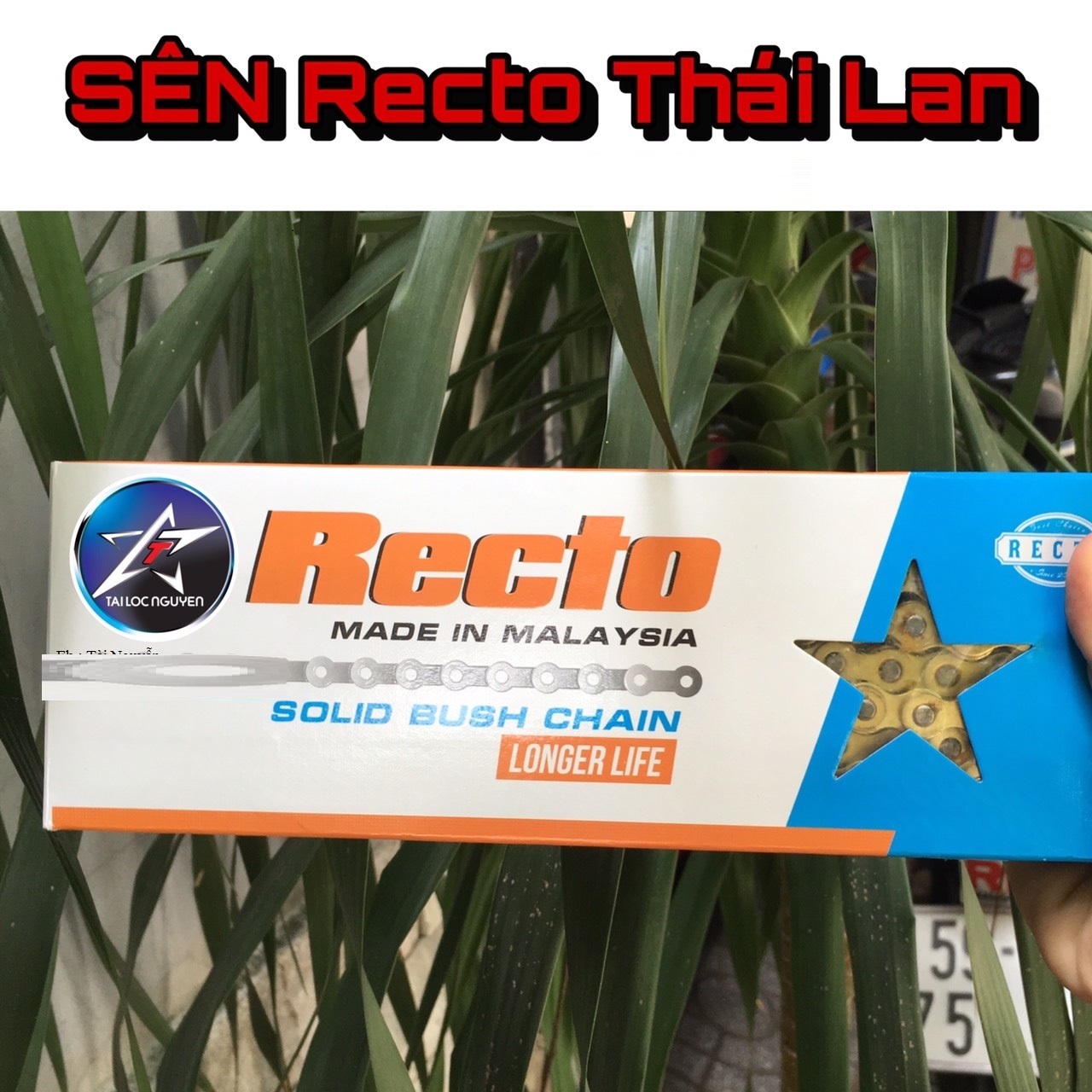 [HCM]SÊN RECTO 10LI THÁI LAN 122M- 132M