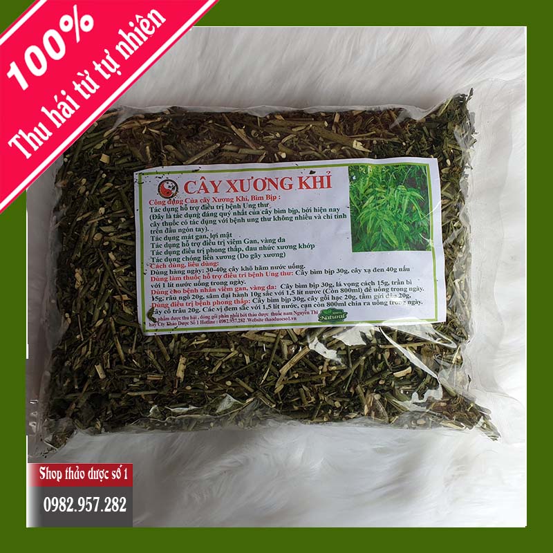 Cây xương khỉ (gói 1kg khô) - Thảo Dược Số 1