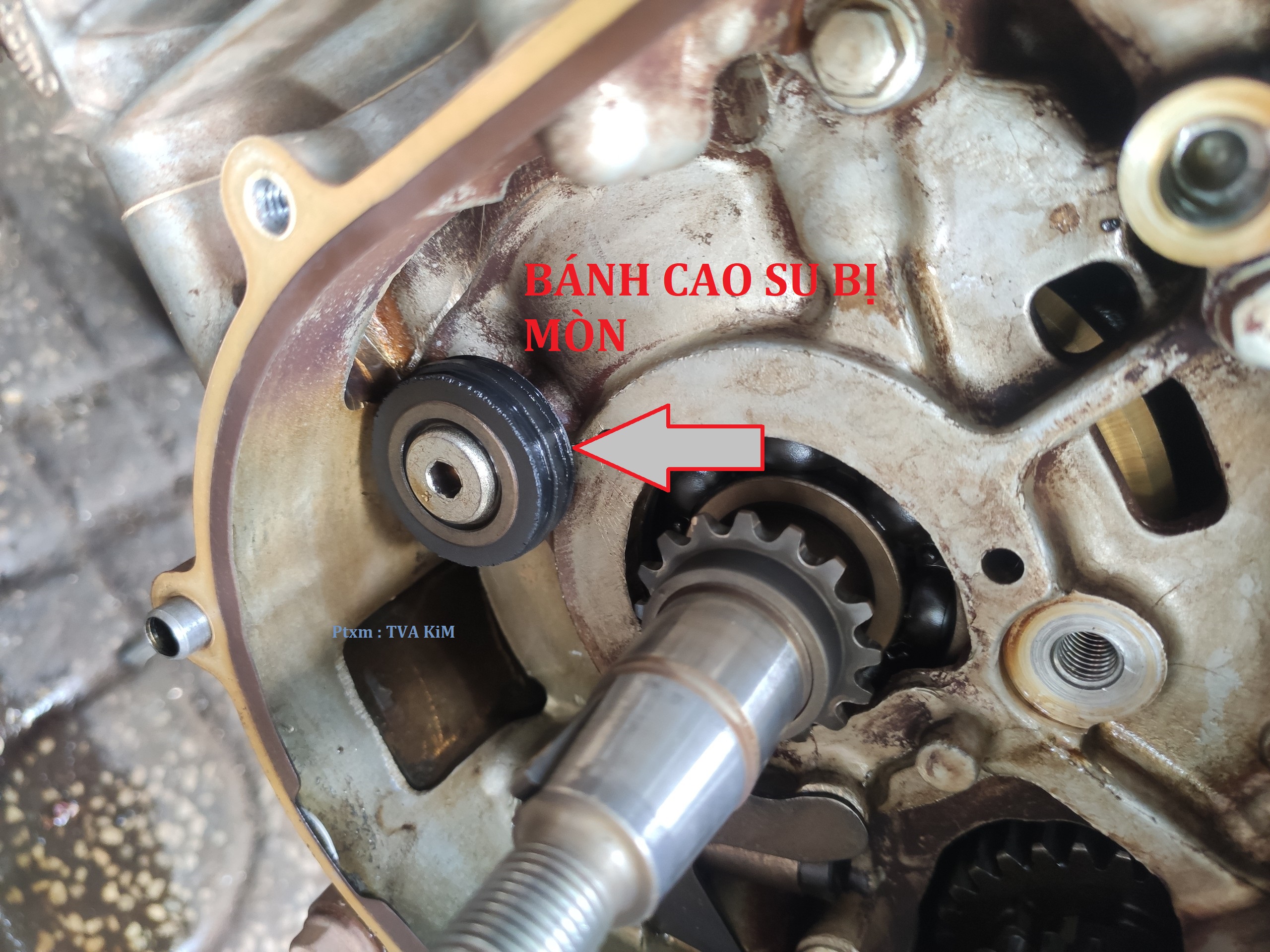 CAO SU ĐỠ SÊN CAM FUTURE 125cc bánh tì sên