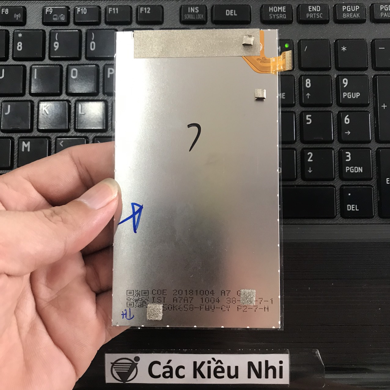 Màn hình	Itel	A33 | W5001	LCD rời