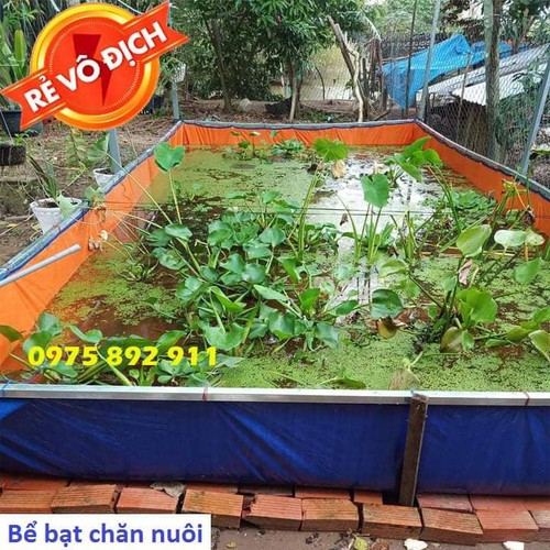 BỂ BẠT NUÔI CÁ , ỐC ẾCH - 6X3X1