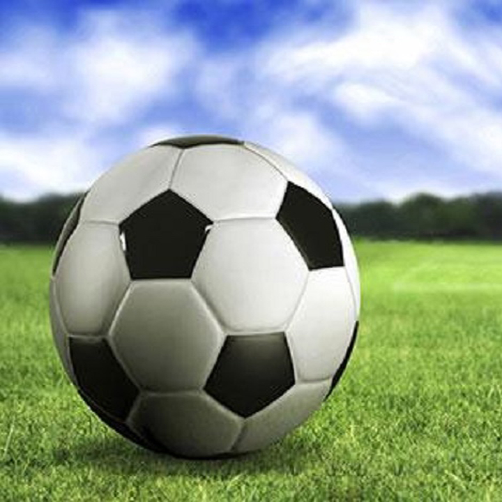 Quả Bóng Đá Động Lực Wc2018 (Nhiều Màu) - HỒNG