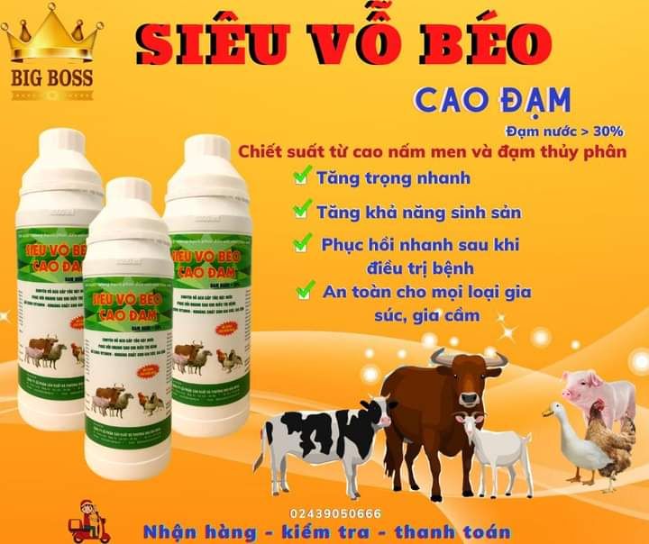 Siêu vỗ béo cao đạm cho các vật nuôi 1lít
