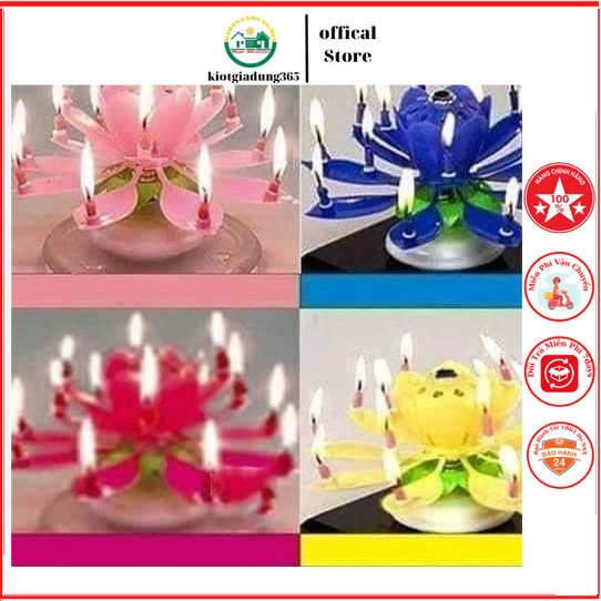 Nến sinh nhật tự động nở hoa phát nhạc