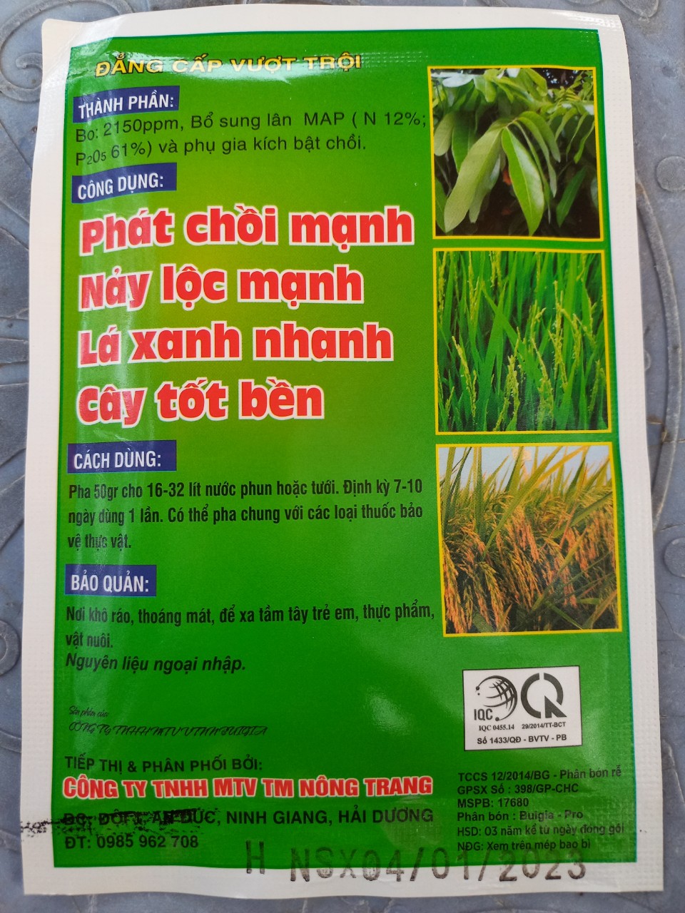 (GIÁ RẺ NHẤT) SIÊU BẬT CHỒI MẬP CỌNG,LỚN LÁ,BUNG ĐỌT ...GÓI 50G