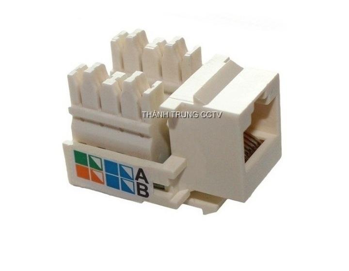 Nhân mạng âm tường Cat5e