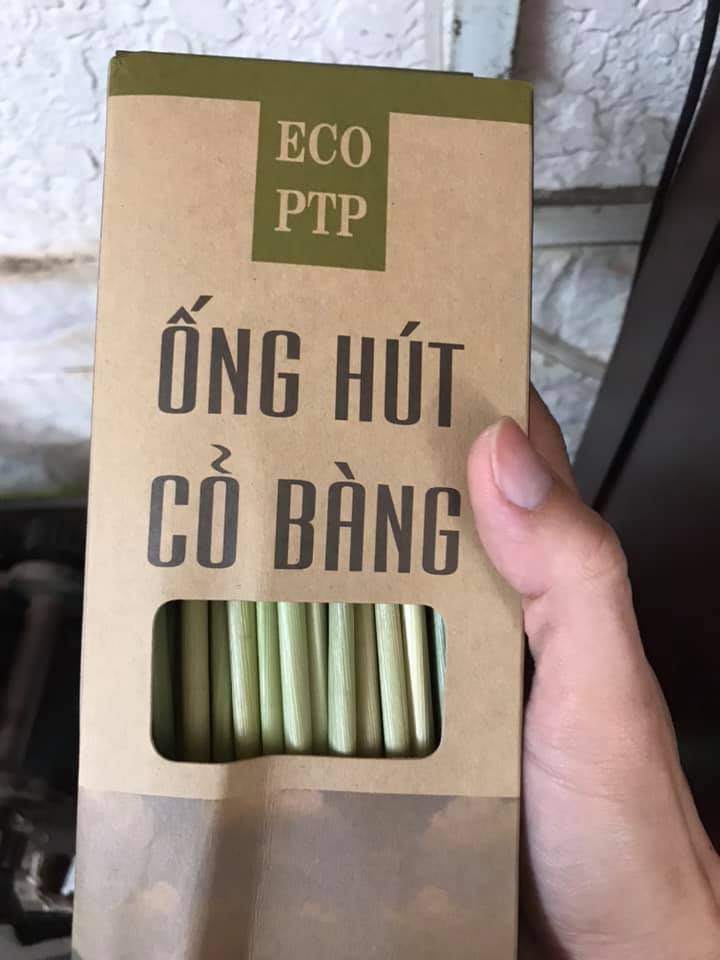 Ống hút cỏ bàng (hộp 100 ống hút cỏ khô) - Việt Handicraft