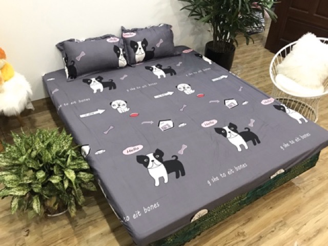 Ga Giường Đai Thun nhiều màu bà béo Bedding
