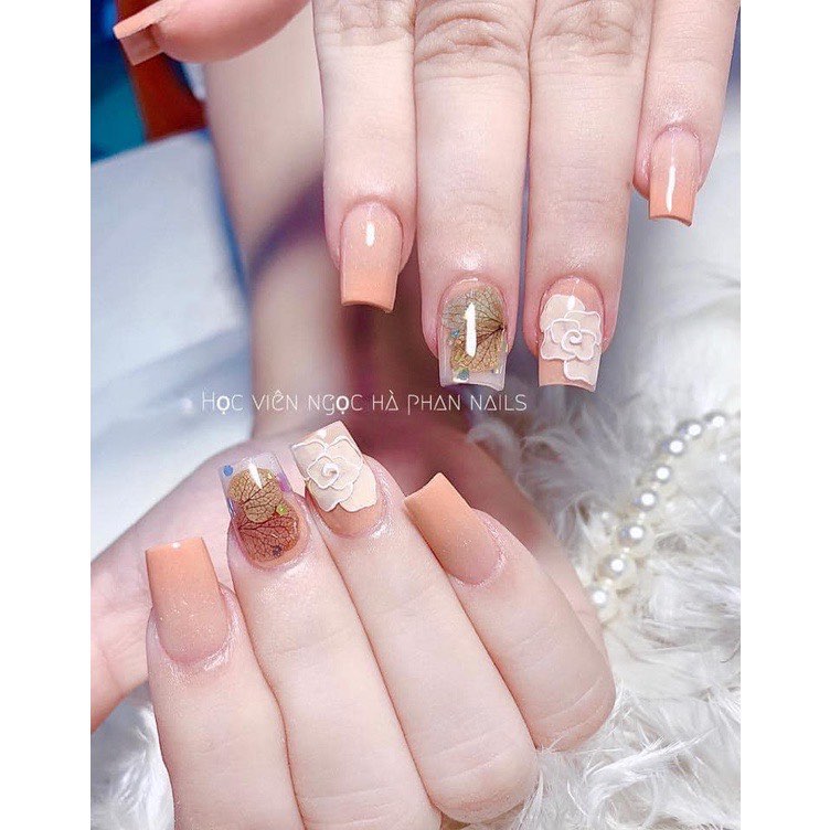Hoa Khô tường vy cánh Mỏng Ẩn trang trí móng
