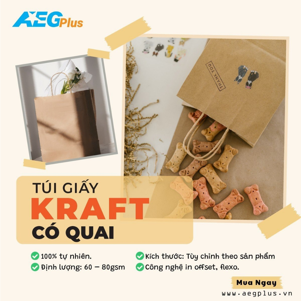 100 chiếc Túi giấy kraft có quai mã VQ7