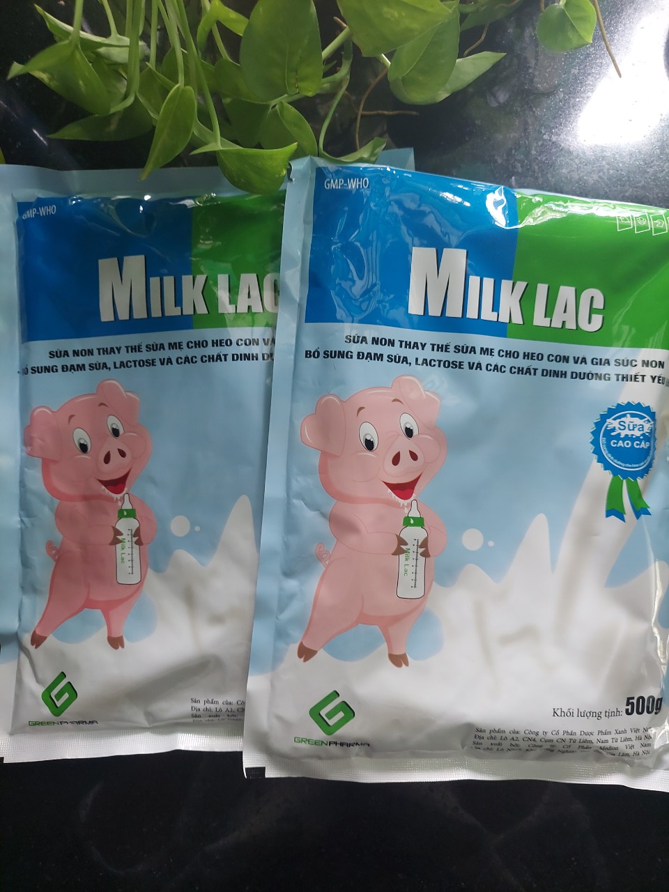 MILK LAC 0.5KG (SỮA NON CHO THÚ SƠ SINH)