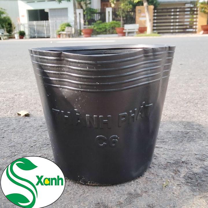 50 Chậu Nhựa Đen Trồng Cây C6