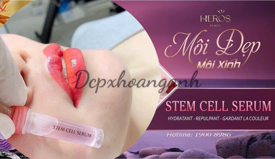 Dưỡng Tế Bào Gốc Stem Cell Serum - Dcpxhoanganh