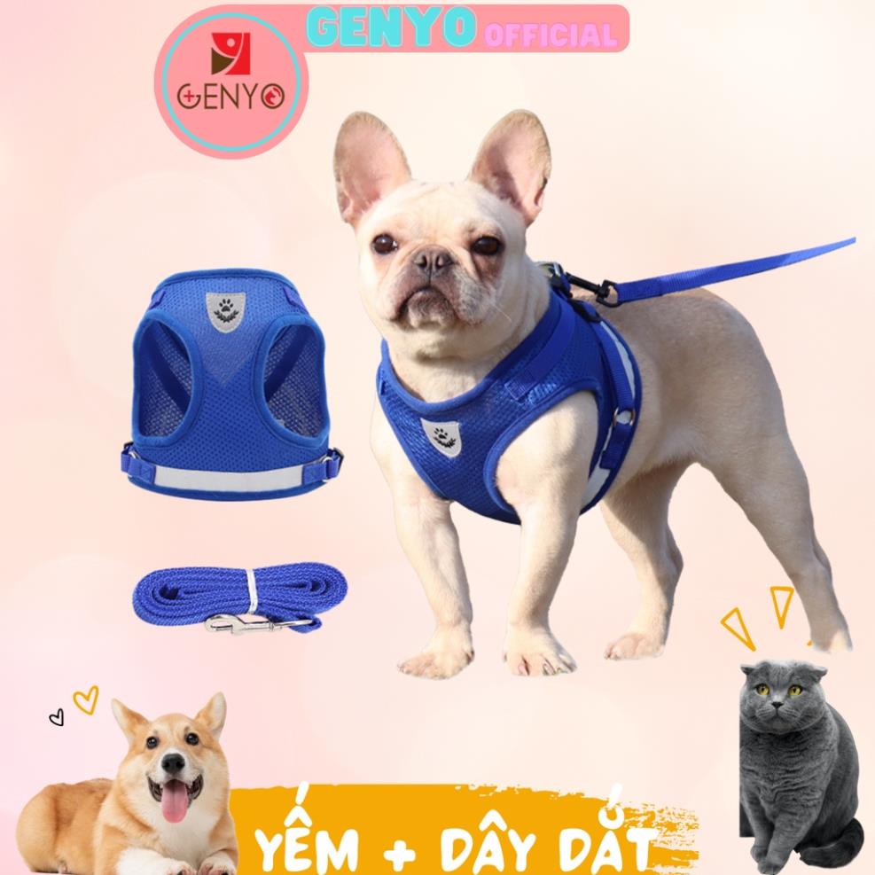 Dây dắt yếm cho chó mèo - Dây dắt 016 (màu ngẫu nhiên)