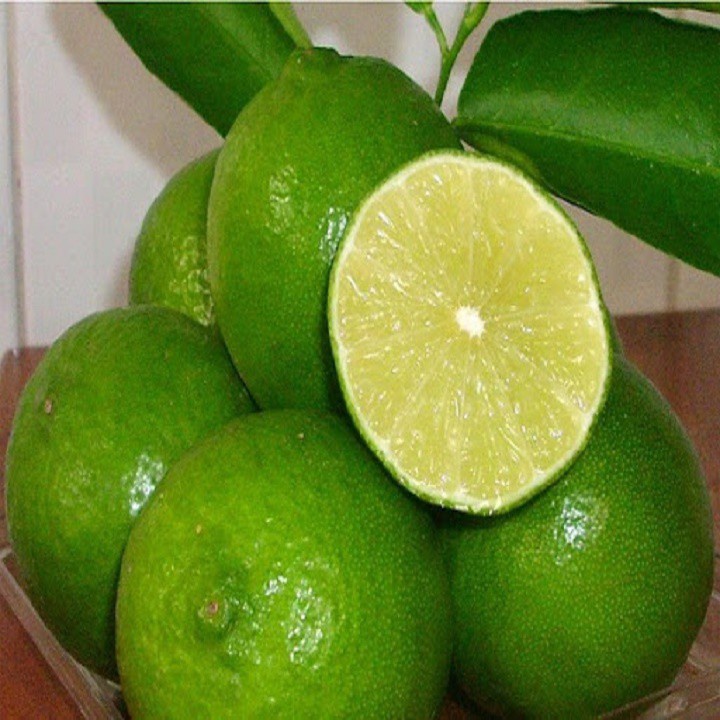 Cây giống Chanh Núm (siêu sớm)