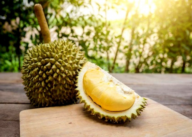 Cây giống Sầu Riêng óc khỉ