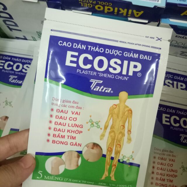 Cao dán Ecosi Hộp 20 miếng x 5 gói