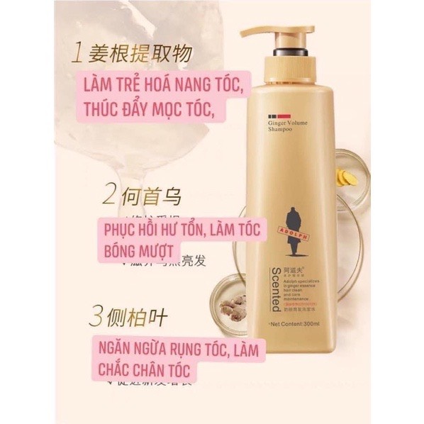 DẦU GỘI GỪNG ADOLPH