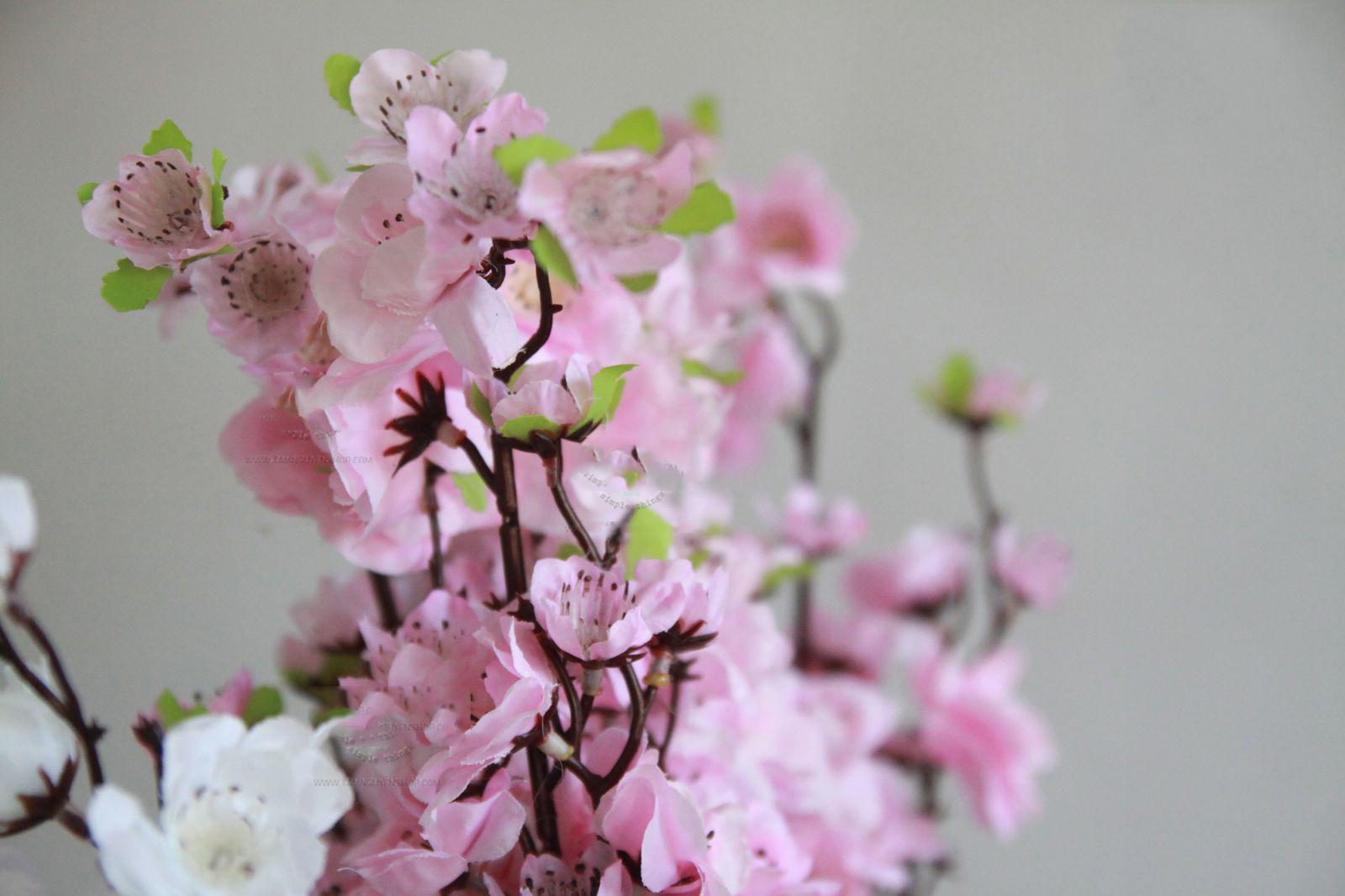 10 Cành hoa mai hoa đào trang trí Tết - Cành hoa mai hoa đào